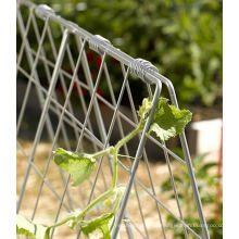 Treliça de pepino para camas levantadas ou pequeno jardim